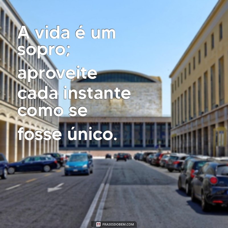 a vida é um sopro mensagens A vida é um sopro; aproveite cada instante como se fosse único.