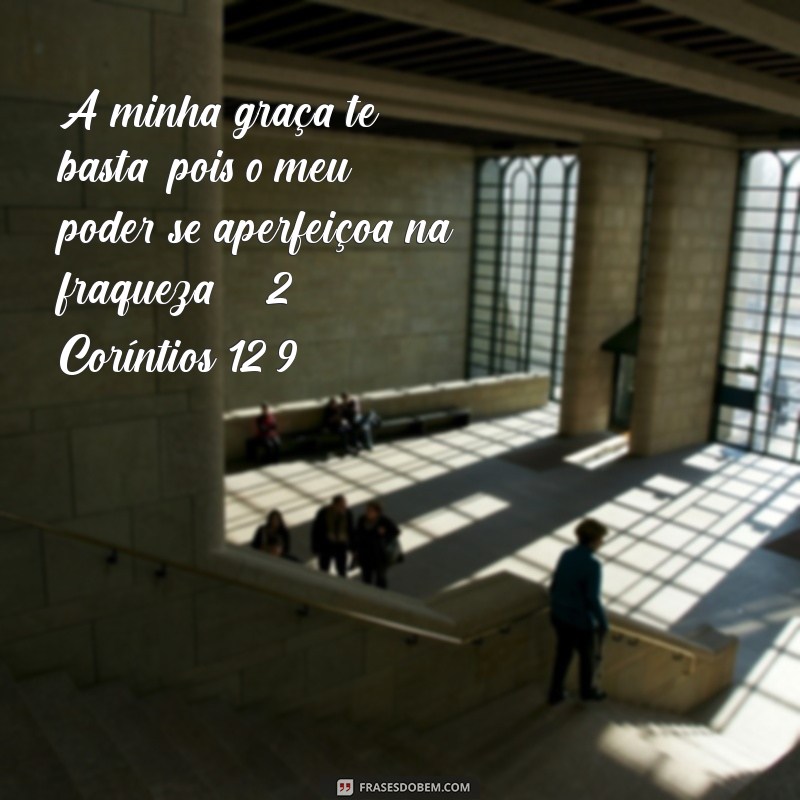 Frases Inspiradoras da Bíblia para Refletir Hoje 