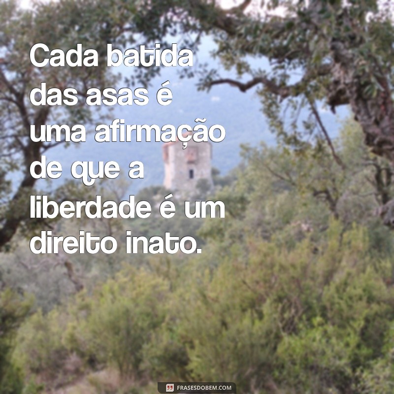 Frases Inspiradoras sobre Pássaros Livres: Liberdade e Beleza em Palavras 