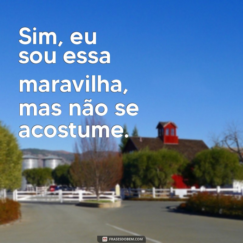 As Melhores Frases de Deboche para Arrasar nas Suas Fotos 