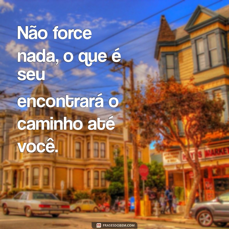 nao force nada Não force nada, o que é seu encontrará o caminho até você.