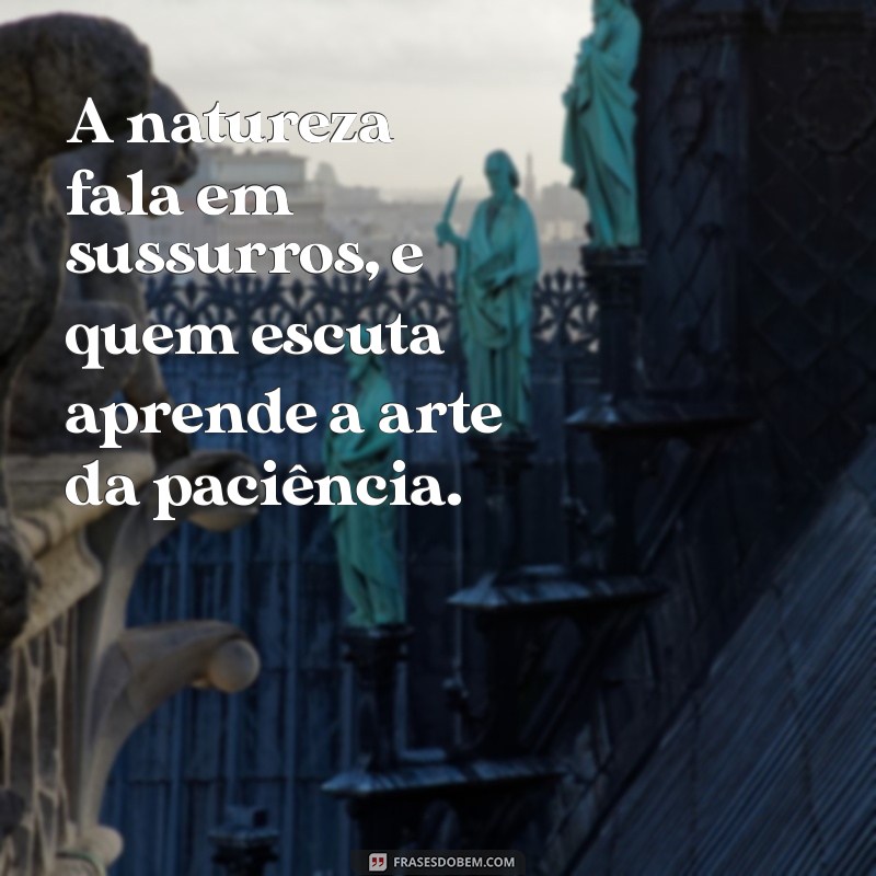 frases natural A natureza fala em sussurros, e quem escuta aprende a arte da paciência.