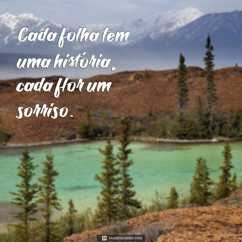 Melhores Frases para Legendar Suas Fotos na Natureza 