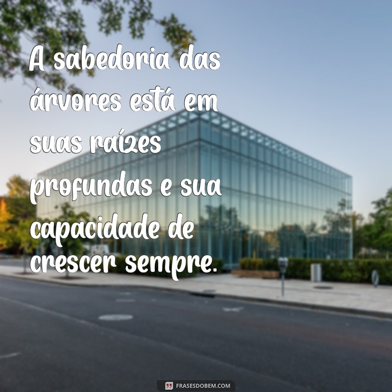 Frases Inspiradoras sobre a Natureza para Reflexão no Tumblr 