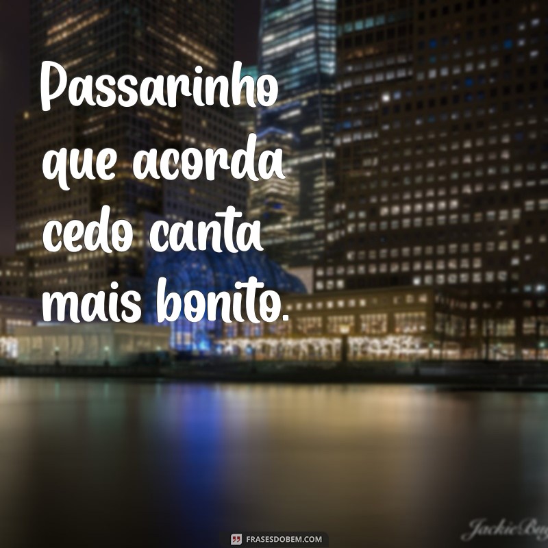 frases passarinho que acorda cedo bebe água limpa Passarinho que acorda cedo canta mais bonito.