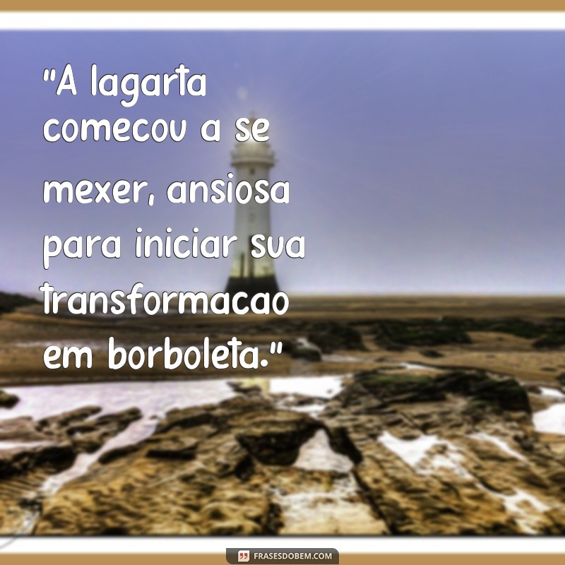 frases lagarta virando borboleta 