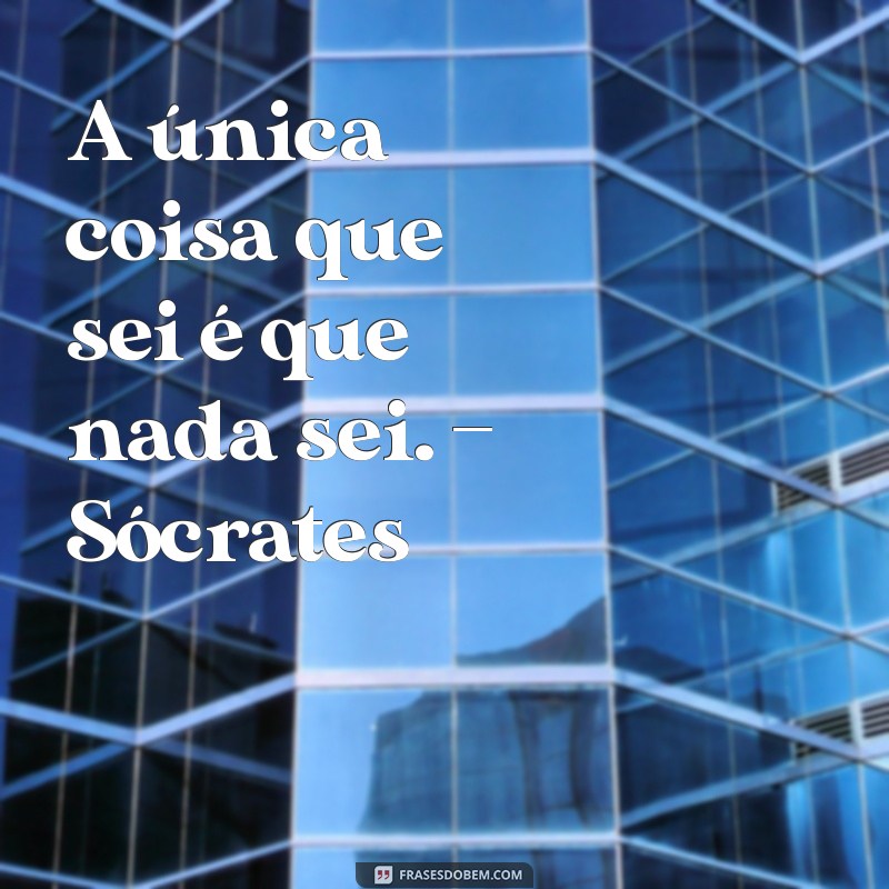 As Melhores Frases de Filósofos que Transformam a Sua Perspectiva 