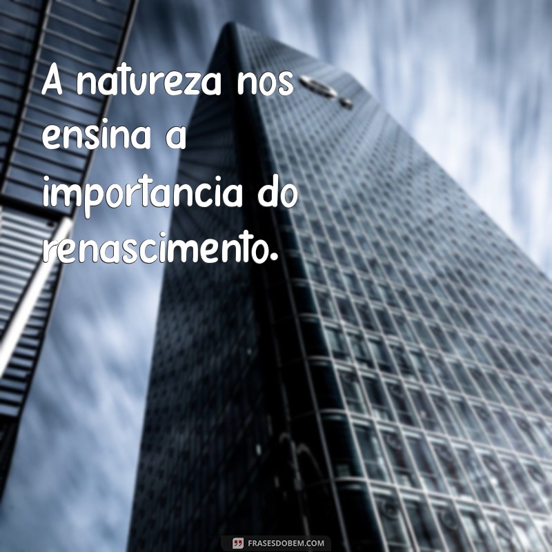 Como Montar Frases Perfeitas: Dicas e Exemplos para Melhorar sua Escrita 