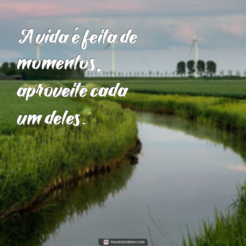 montar frases A vida é feita de momentos, aproveite cada um deles.