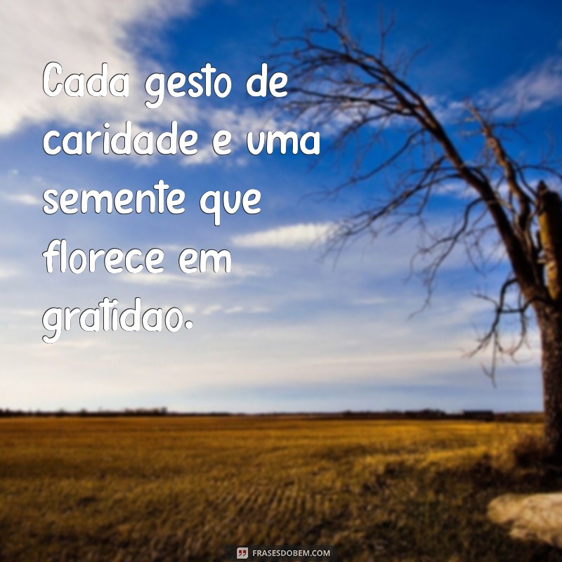 Frases Inspiradoras sobre Caridade para Transformar Vidas 