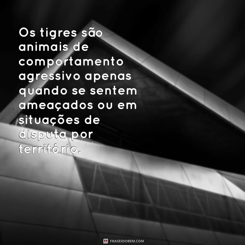 Descubra as melhores frases inspiradoras de tigres para despertar sua força interior 