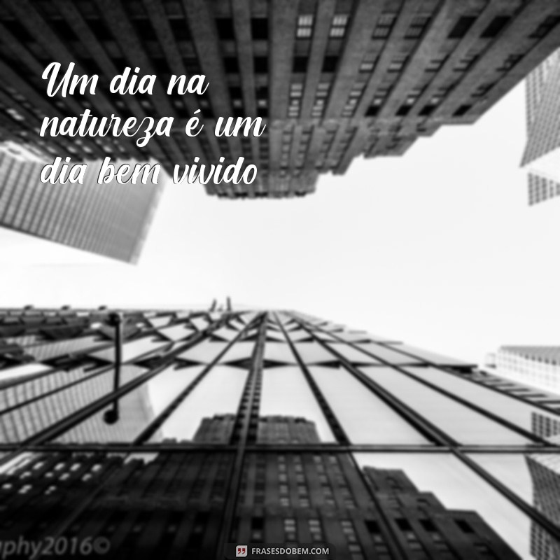 Frases Inspiradoras para Acompanhar Suas Fotos na Natureza 