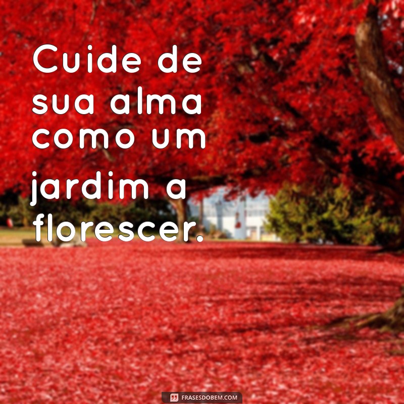 Frases Curtas de Amor Próprio para Inspirar sua Autoestima 