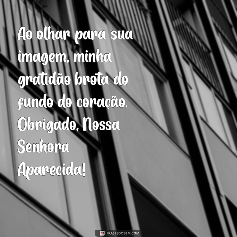 Mensagem de Agradecimento a Nossa Senhora Aparecida: Celebrando as Graças Alcançadas 