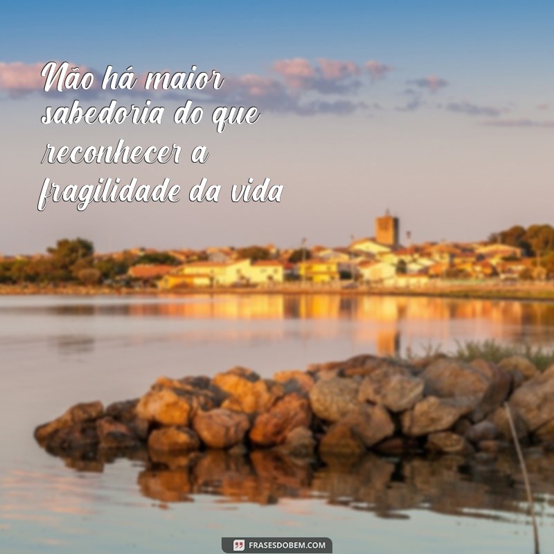 Frases Inspiradoras de Humildade e Sabedoria para Refletir e Crescer 