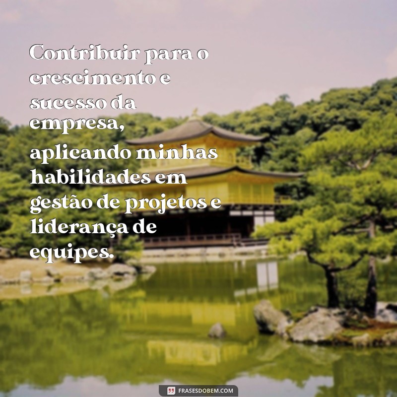 objetivo para um curriculo Contribuir para o crescimento e sucesso da empresa, aplicando minhas habilidades em gestão de projetos e liderança de equipes.