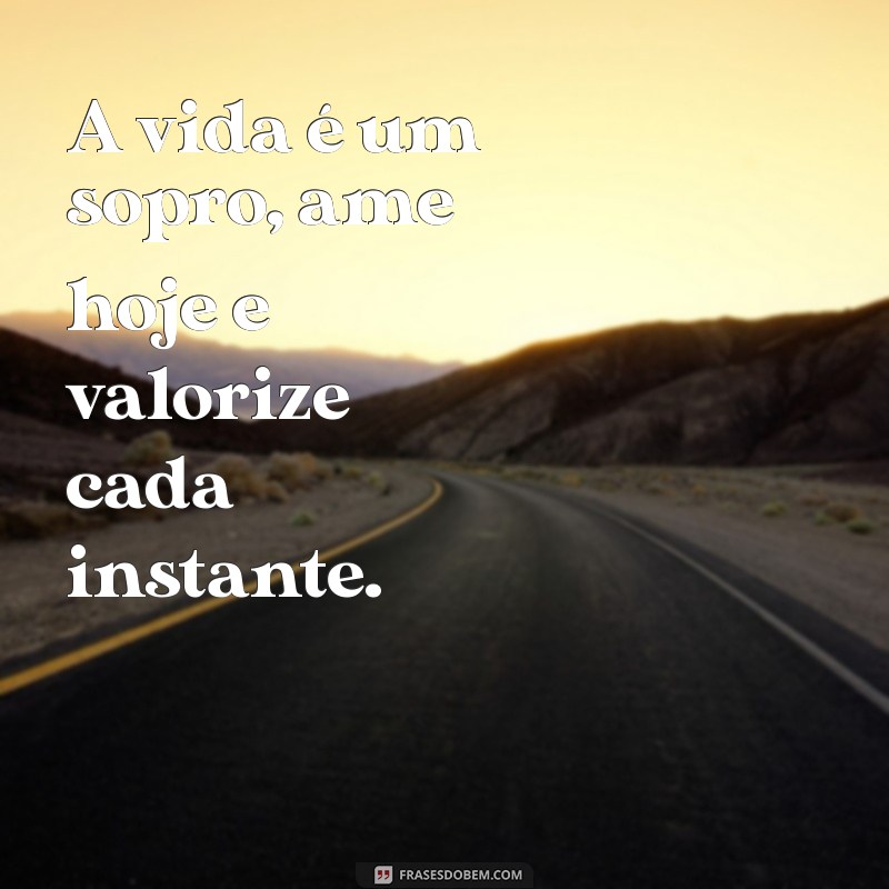 a vida é um sopro ame hoje A vida é um sopro, ame hoje e valorize cada instante.