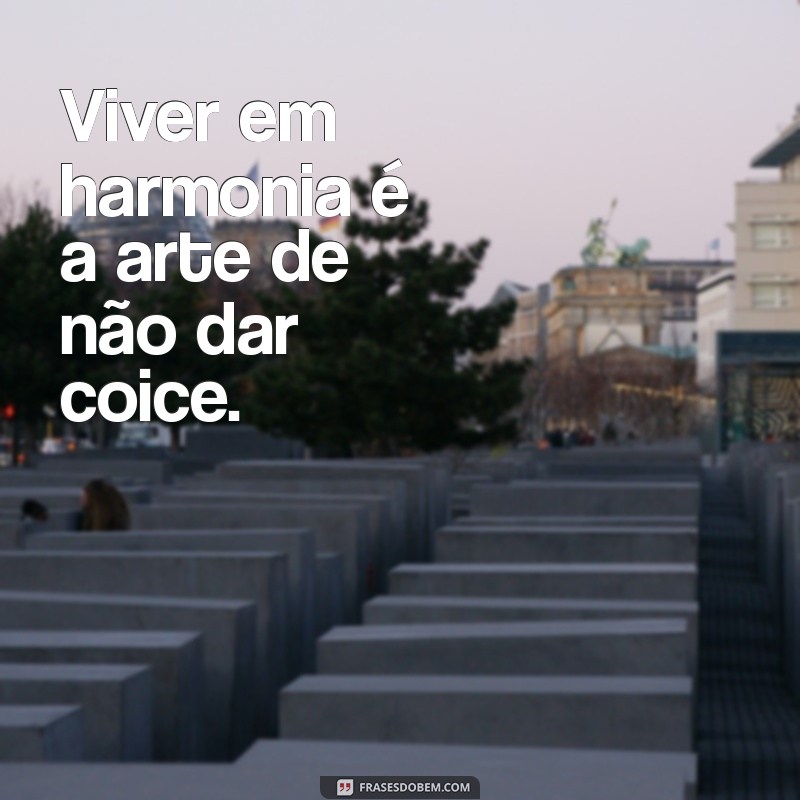 Como Identificar um Cavalo Calmo: Dicas para Evitar Coices e Garantir Segurança 