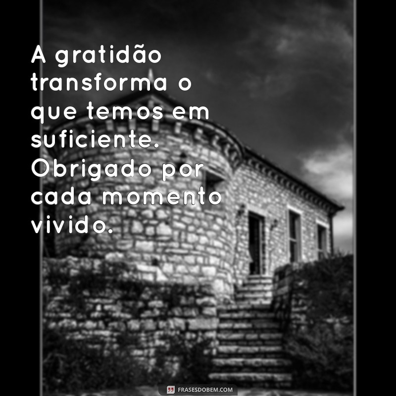 texto de gratidao A gratidão transforma o que temos em suficiente. Obrigado por cada momento vivido.