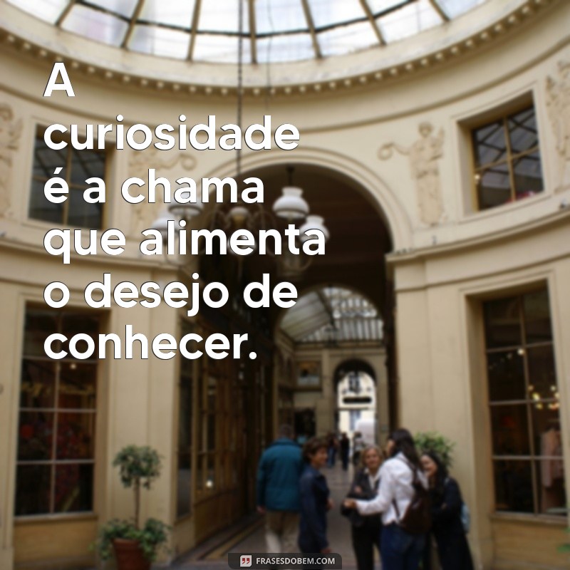 Descubra Frases Inspiradoras para Estimular sua Busca pelo Conhecimento 