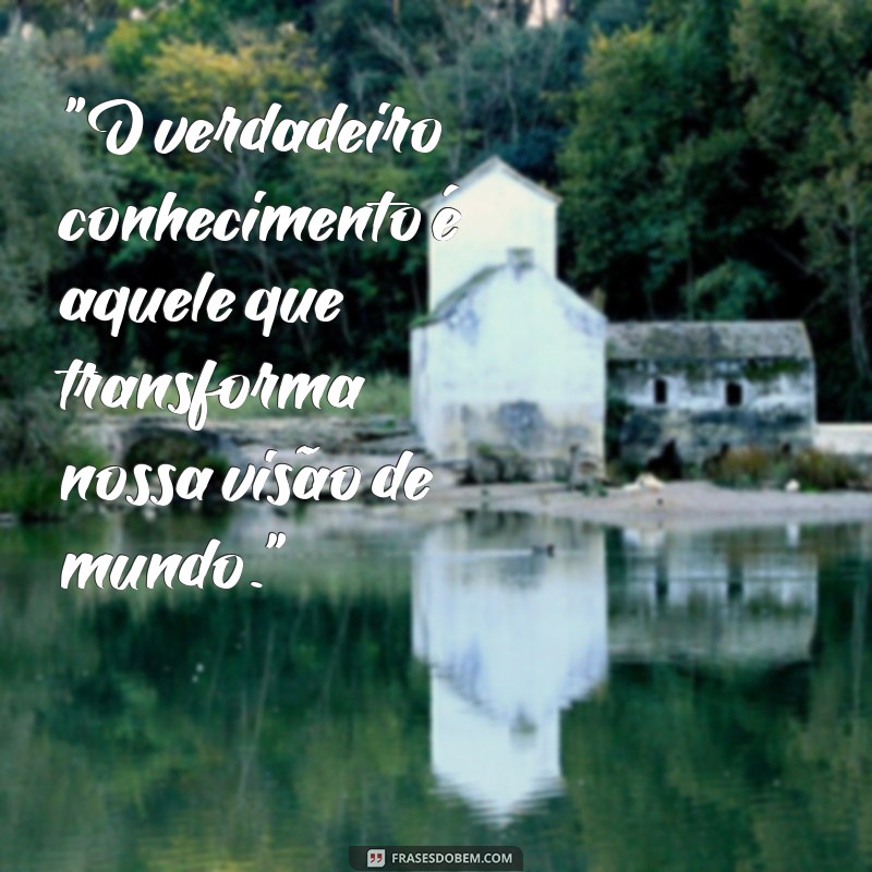 frases em busca de conhecimento 