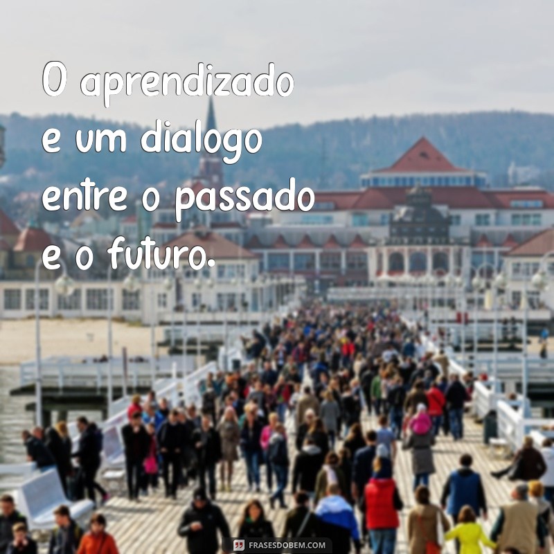 Descubra Frases Inspiradoras para Estimular sua Busca pelo Conhecimento 