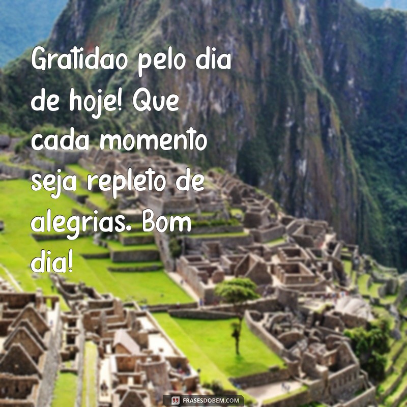 gratidão pelo dia de hoje bom dia Gratidão pelo dia de hoje! Que cada momento seja repleto de alegrias. Bom dia!