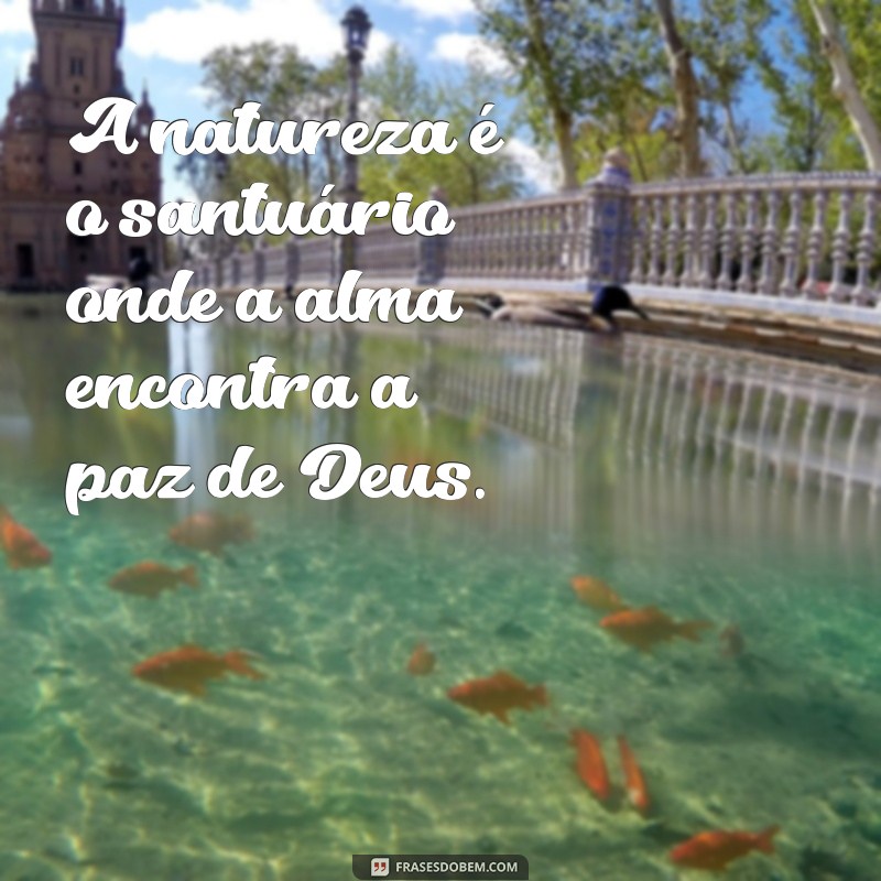 Frases Inspiradoras sobre Deus e a Beleza da Natureza: Conexões Espirituais 