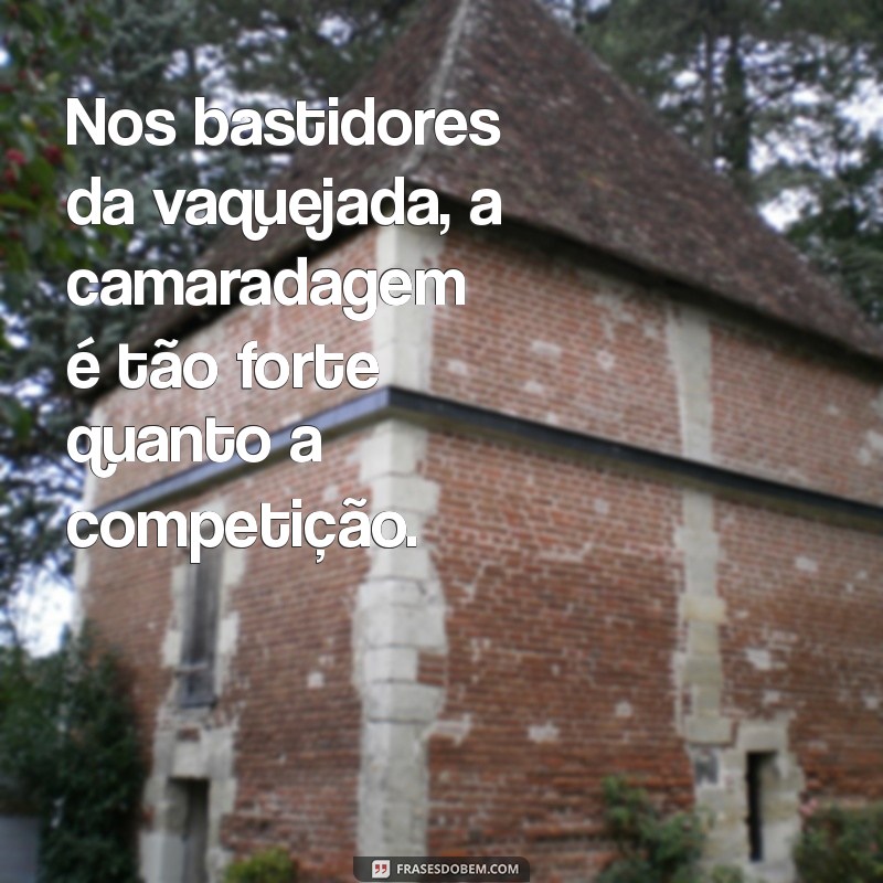 Top 21 Frases Inspiradoras sobre Vaquejada para Celebrar a Cultura Nordestina 