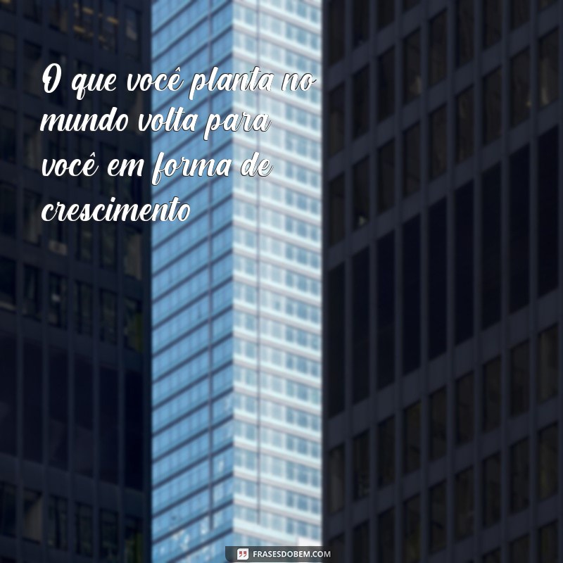 frases da lei do retorno O que você planta no mundo volta para você em forma de crescimento.