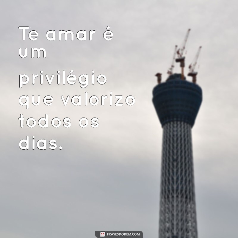 Frases de Amor: Declarações Românticas para Encantar seu Coração 