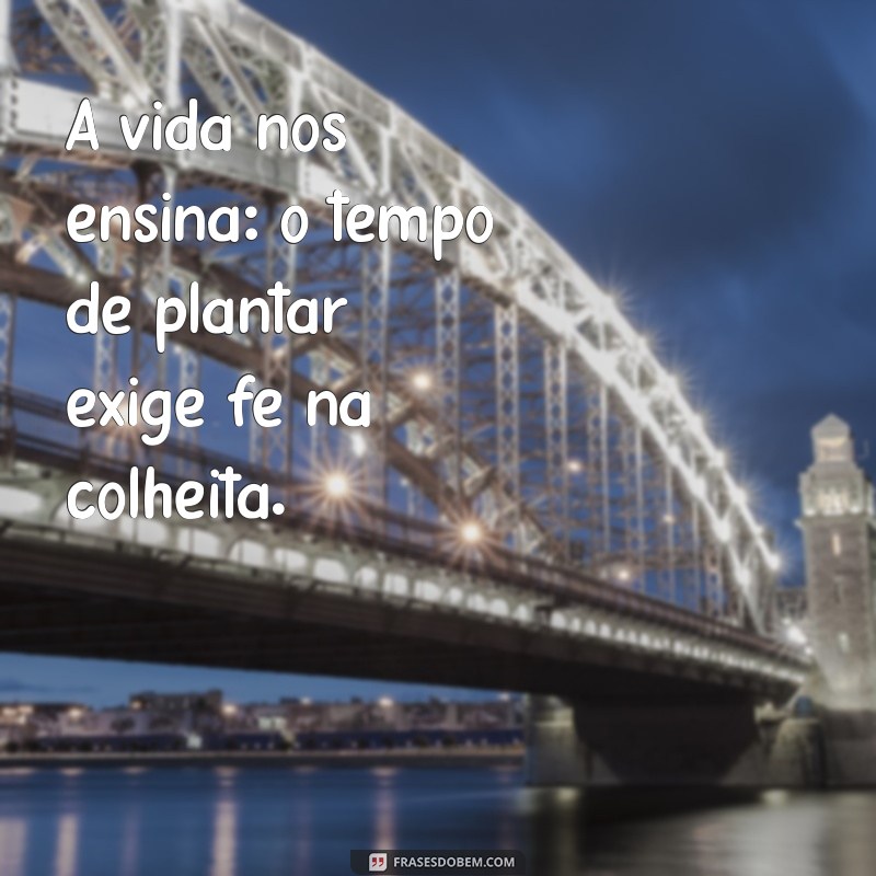 Tempo de Plantar e Colher: A Importância do Ciclo Natural na Sua Vida 