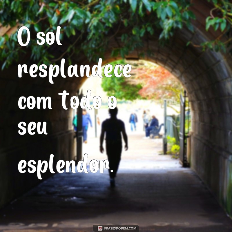 frases resplandecer O sol resplandece com todo o seu esplendor.