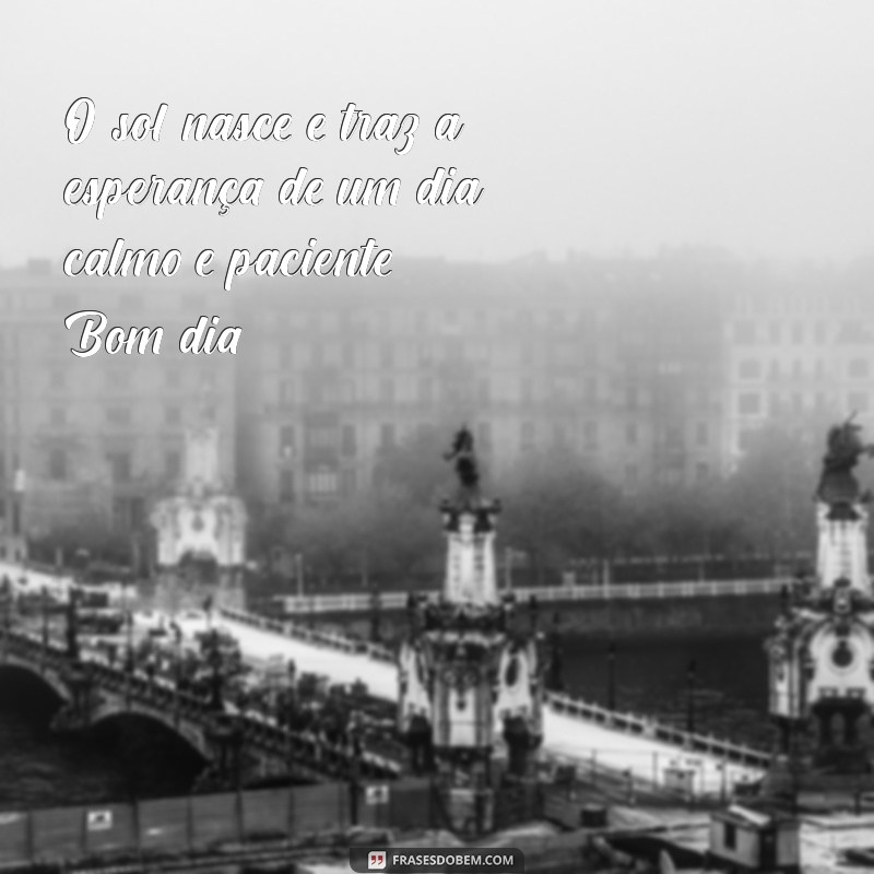 Bom Dia: Cultivando Calma e Paciência para um Início de Dia Positivo 