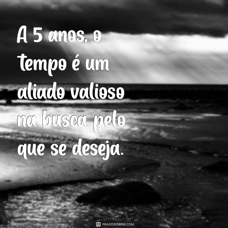 Reflexões sobre os Últimos 5 Anos: Lições e Transformações 