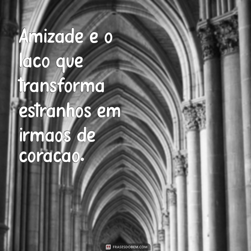 definição de amizade Amizade é o laço que transforma estranhos em irmãos de coração.