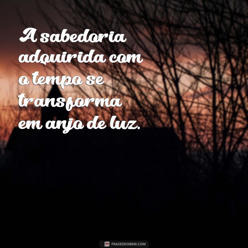 Como se Transformar em um Anjo de Luz: Dicas para Iluminar sua Vida 