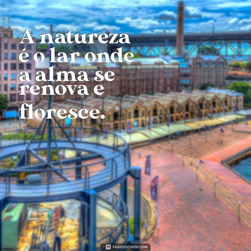 Frases Inspiradoras sobre o Paraíso da Natureza para Conectar-se com o Mundo Natural 