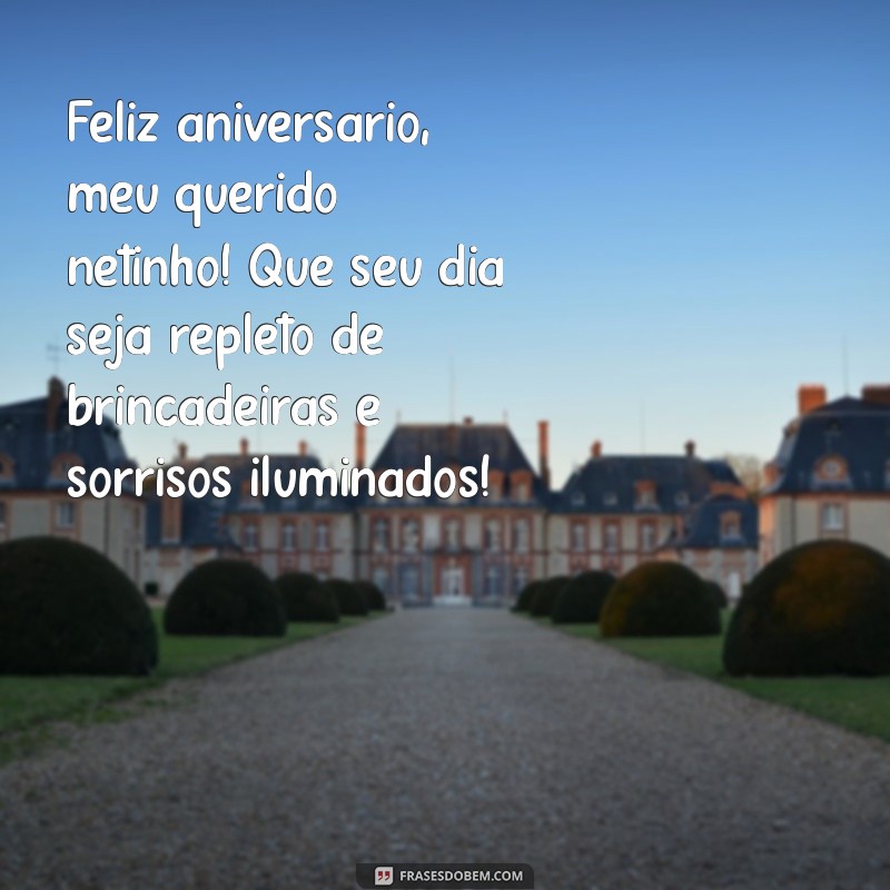 mensagem de aniversário para o netinho Feliz aniversário, meu querido netinho! Que seu dia seja repleto de brincadeiras e sorrisos iluminados!