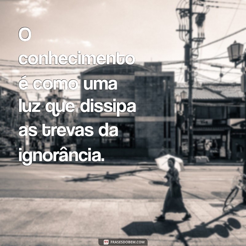 Os Melhores Versículos Bíblicos sobre Conhecimento: Sabedoria e Entendimento 