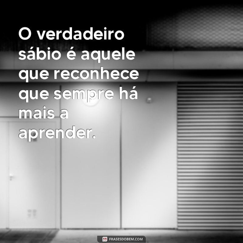 Os Melhores Versículos Bíblicos sobre Conhecimento: Sabedoria e Entendimento 