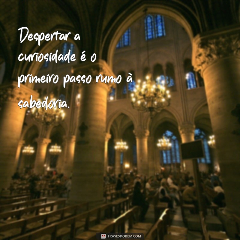 Frases Inspiradoras para Estimular sua Busca pelo Conhecimento 