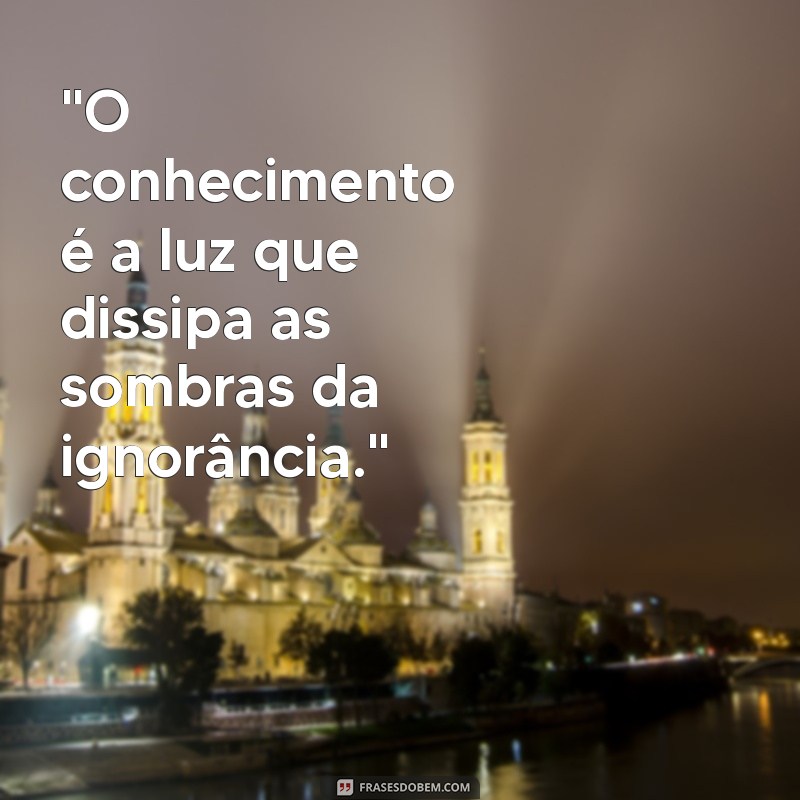 frases busca de conhecimento 