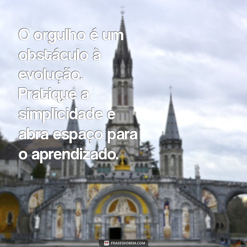 Mensagens Diárias Inspiradoras do Evangelho Segundo o Espiritismo 