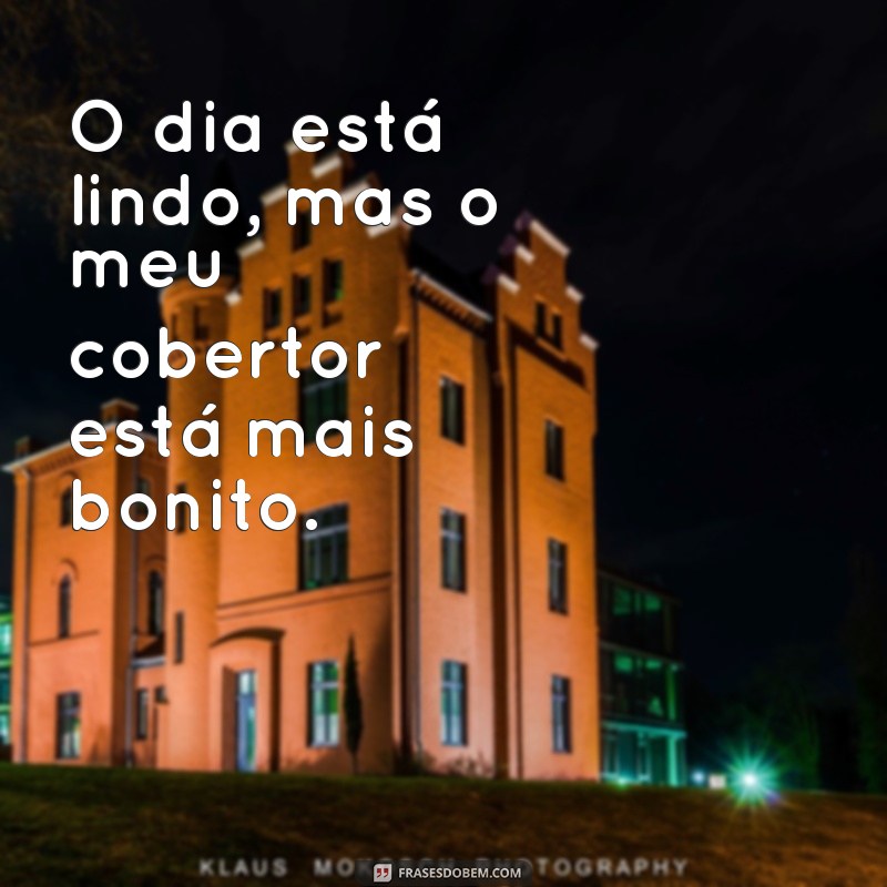 As Melhores Frases Engraçadas Sobre Preguiça para Alegrar Seu Dia 