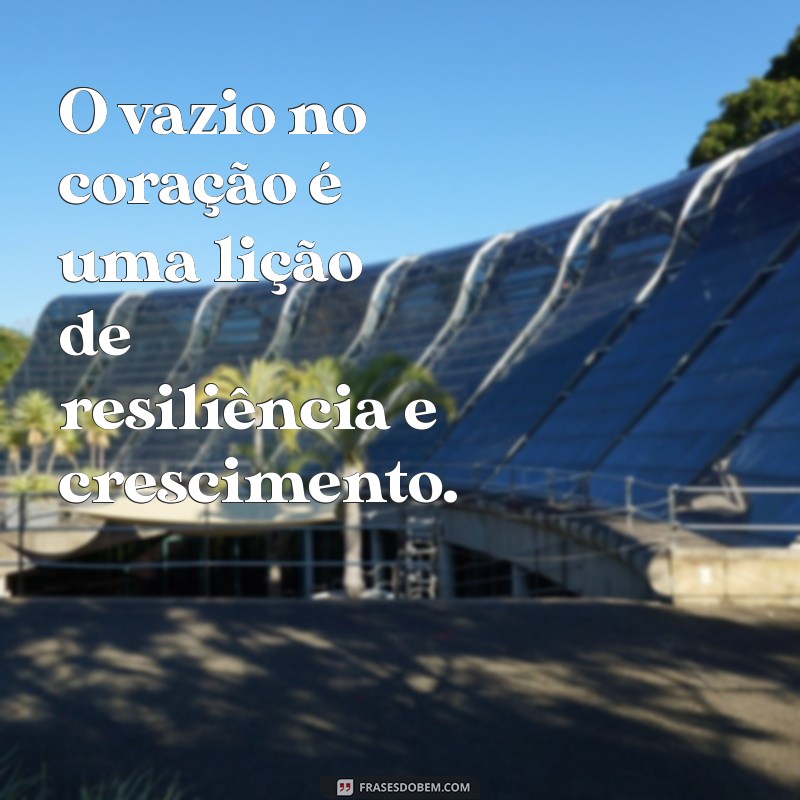 Superando o Vazio no Coração: Dicas para Encontrar a Plenitude Emocional 