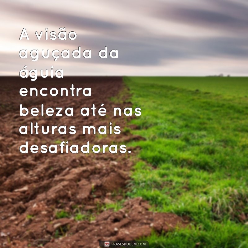 Frases Inspiradoras sobre Águias: Sabedoria e Força em Palavras 