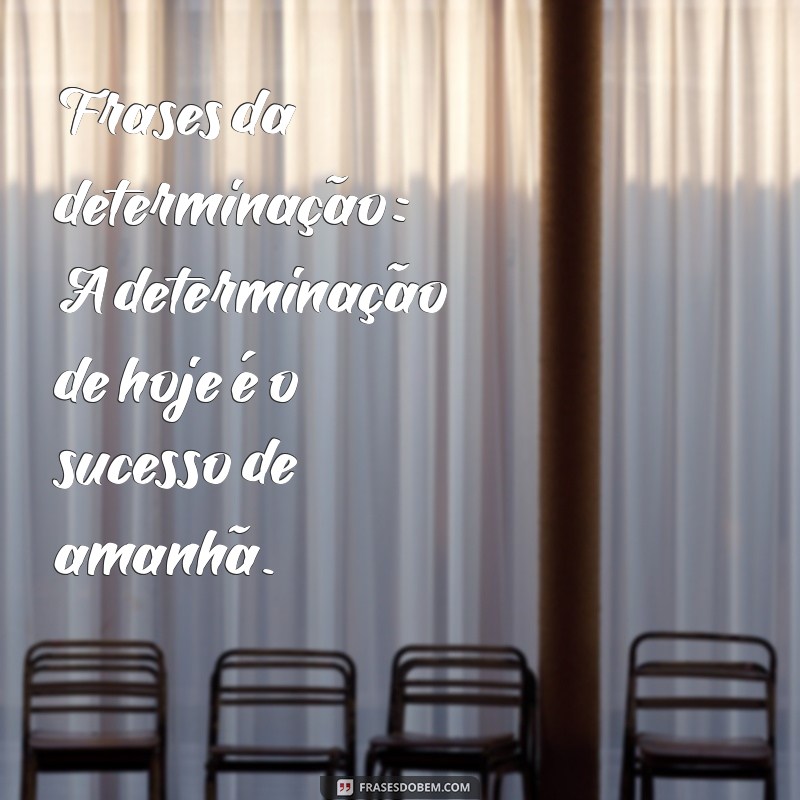 Frases Inspiradoras: As Melhores Citações para Motivar seu Dia 