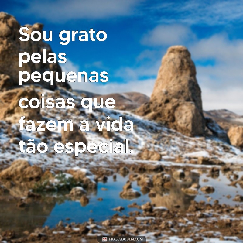 10 Mensagens Curtas de Gratidão a Deus para Inspirar Seu Dia 