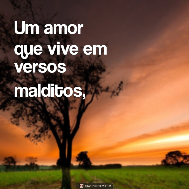 Poemas de Amor Não Correspondido: Expressando a Dor e a Beleza da Desilusão 